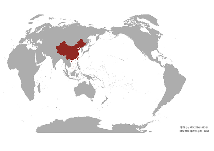 国际营销网络
