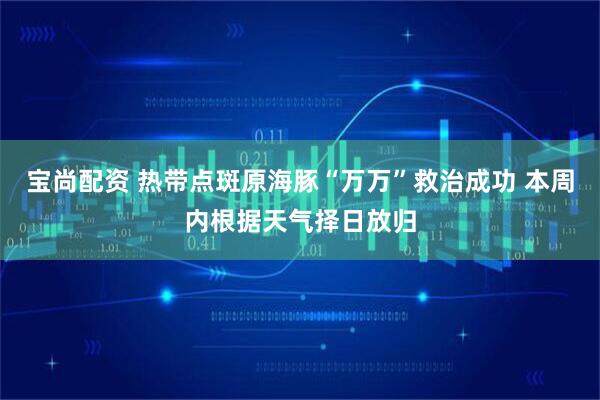 宝尚配资 热带点斑原海豚“万万”救治成功 本周内根据天气择日放归