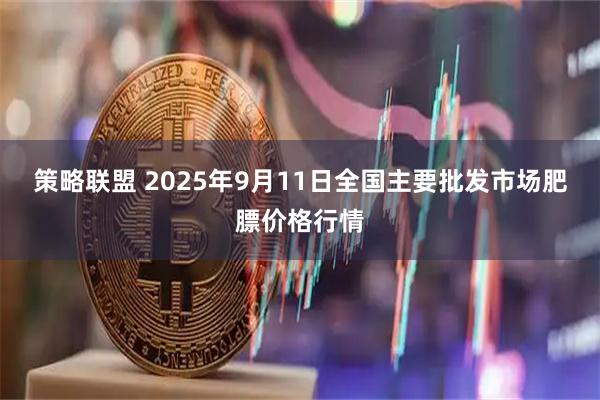 策略联盟 2025年9月11日全国主要批发市场肥膘价格行情