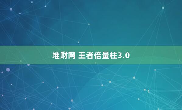 堆财网 王者倍量柱3.0