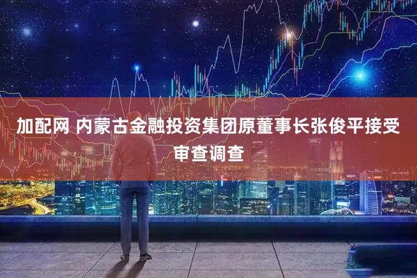 加配网 内蒙古金融投资集团原董事长张俊平接受审查调查