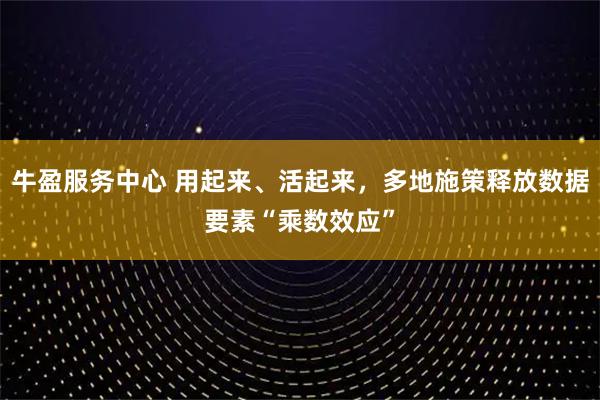 牛盈服务中心 用起来、活起来，多地施策释放数据要素“乘数效应”