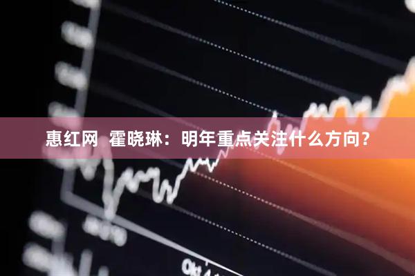 惠红网 霍晓琳:明年重点关注什么方向?